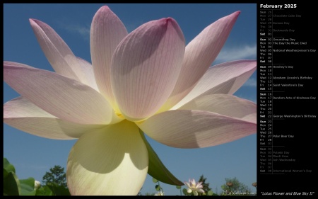 Lotus Flower and Blue Sky II