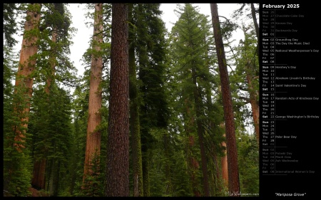 Mariposa Grove