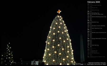 National Christmas Tree and Washington Monument at Night