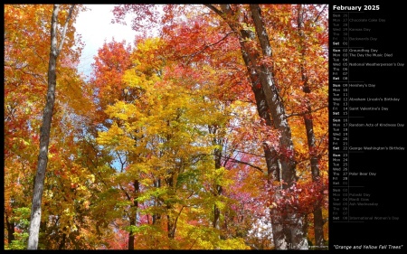 Orange and Yellow Fall Trees