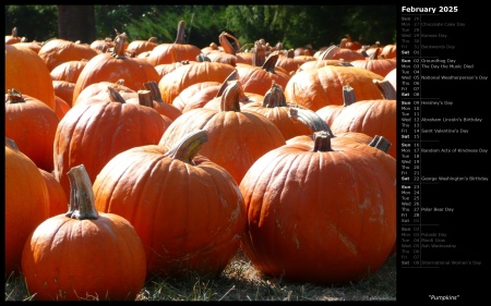 Pumpkins