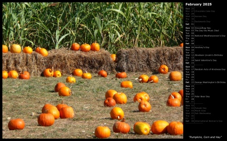 Pumpkins, Corn and Hay