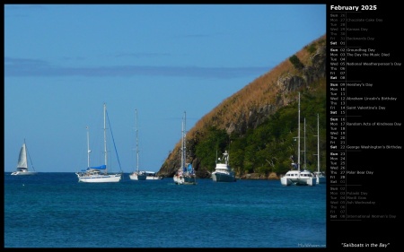 Sailboats in the Bay