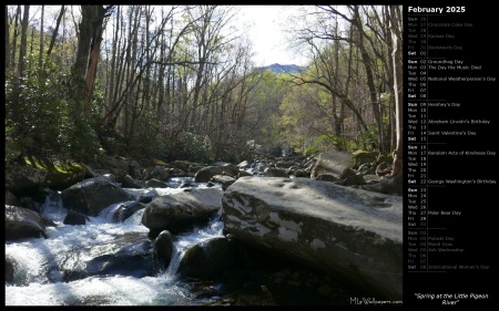 Spring at the Little Pigeon River