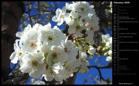 White Blossoms I