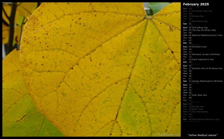 Yellow Redbud Leaves