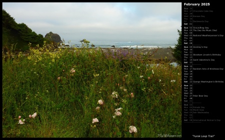 Yurok Loop Trail