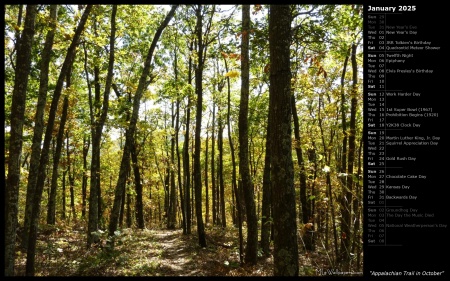 Appalachian Trail in October