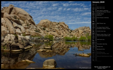 Barker Dam Reflection at Joshua Tree I