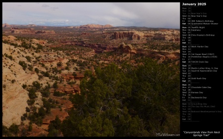 Canyonlands View from Neck Springs Trail