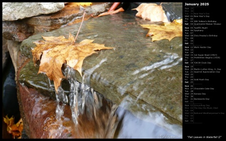 Fall Leaves in Waterfall II