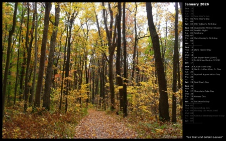 Fall Trail and Golden Leaves