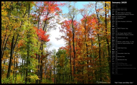 Fall Trees and Blue Sky