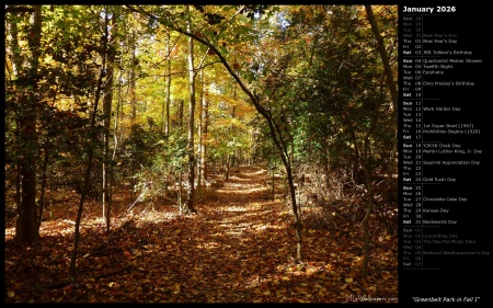 Greenbelt Park in Fall I