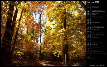 Greenbelt Park in Fall II