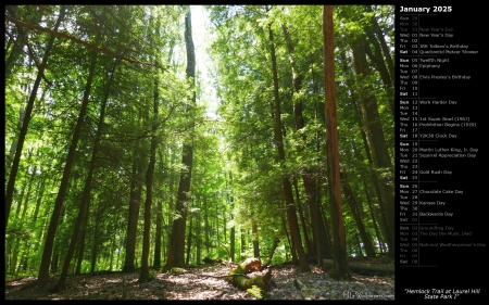 Hemlock Trail at Laurel Hill State Park I