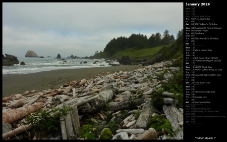 Hidden Beach I