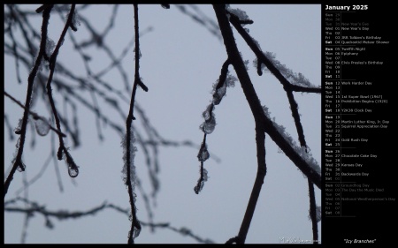 Icy Branches