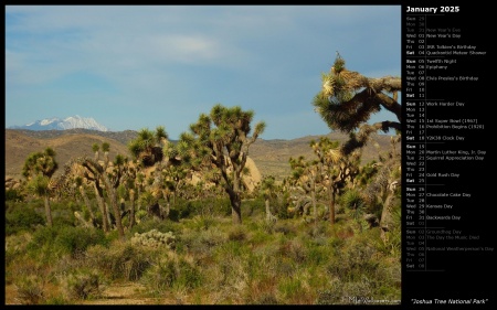 Joshua Tree National Park