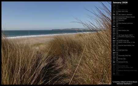 Limantour Beach at Point Reyes National Seashore I