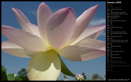 Lotus Flower and Blue Sky II