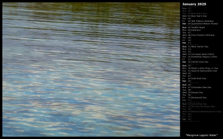 Mangrove Lagoon Water