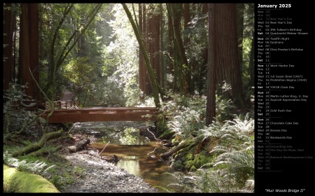 Muir Woods Bridge II