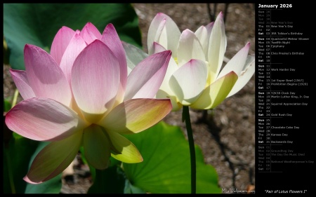 Pair of Lotus Flowers I