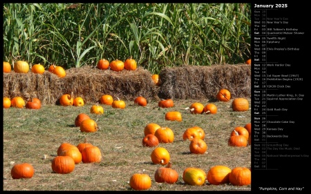 Pumpkins, Corn and Hay