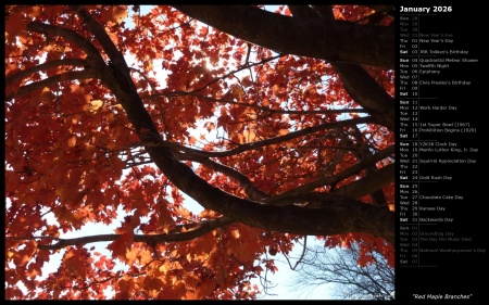 Red Maple Branches