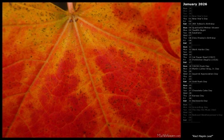 Red Maple Leaf