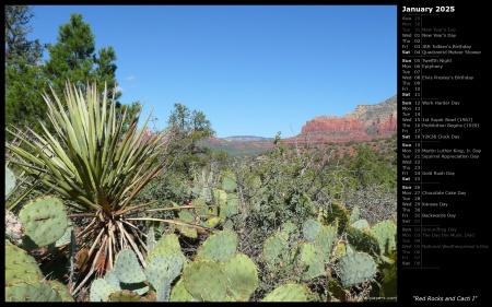 Red Rocks and Cacti I