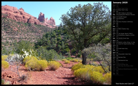 Red Rocks and Cacti II