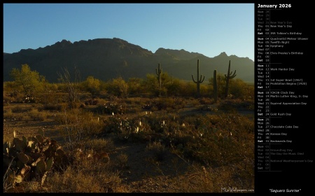 Saguaro Sunrise