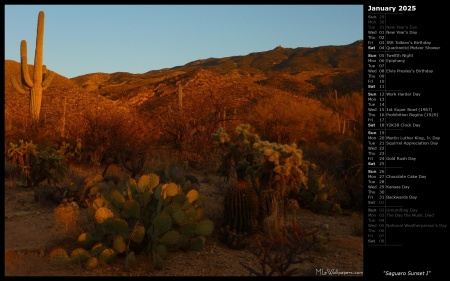 Saguaro Sunset I