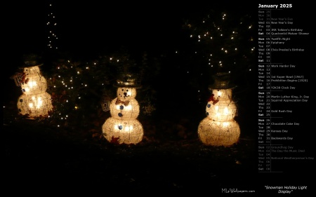 Snowman Holiday Light Display