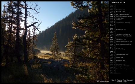 Sunlit Frosted Pine Trees at Dream Lake