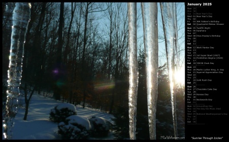 Sunrise Through Icicles