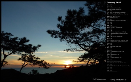 Torrey Pine Sunset III