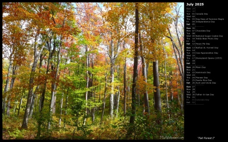 Fall Forest I