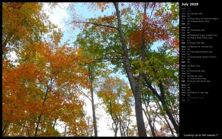 Looking Up to Fall Leaves I