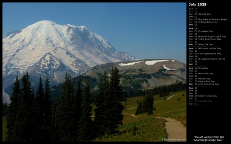 Mount Rainier from the Sourdough Ridge Trail