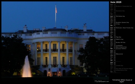 Christmas White House at Night