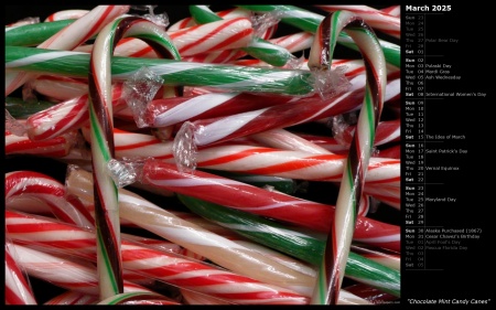 Chocolate Mint Candy Canes