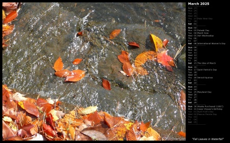 Fall Leaves in Waterfall