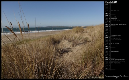 Limantour Beach at Point Reyes II