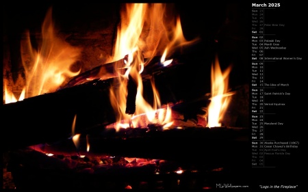 Logs in the Fireplace