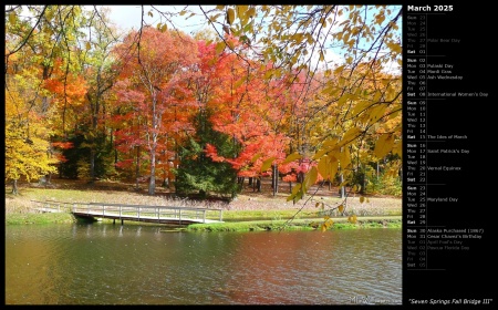 Seven Springs Fall Bridge III