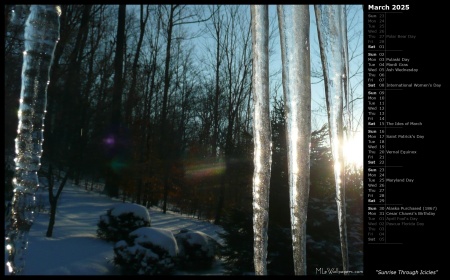 Sunrise Through Icicles