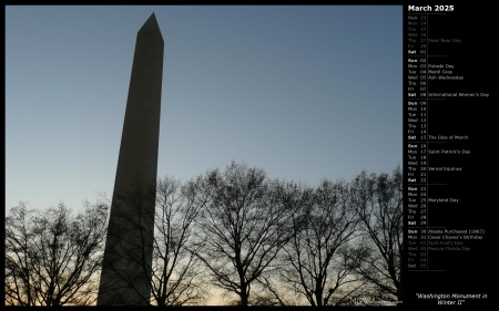 Washington Monument in Winter II